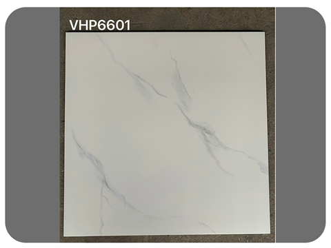 Gạch Viglacera Kt 60x60 VHP6601